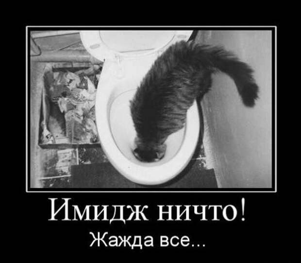 Сборник моих демотиваторов демотиватор, сборник