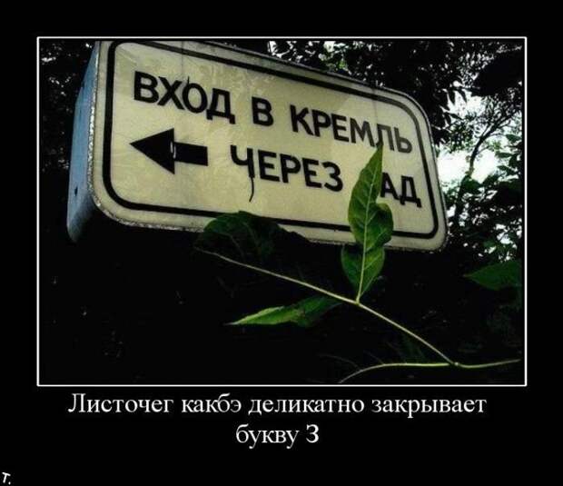 Подборка демотиваторов (84 фото)