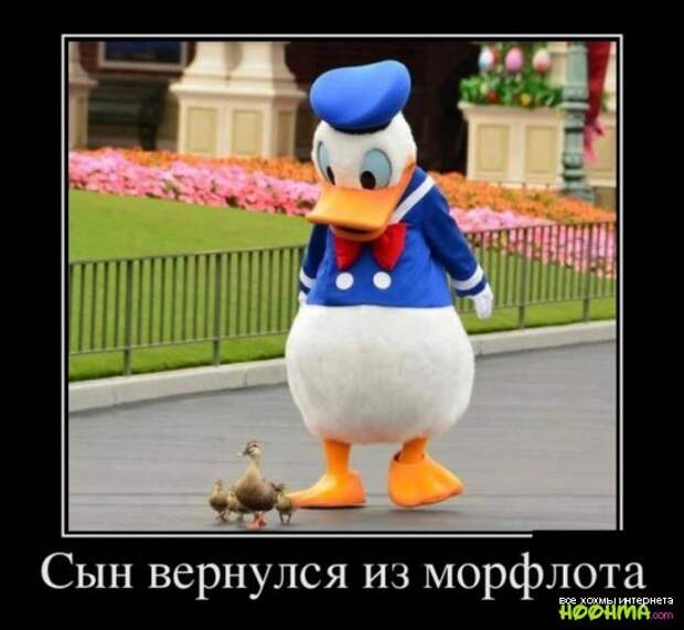 Демотиваторы - подборка 1 Демотиваторы - подборка 1