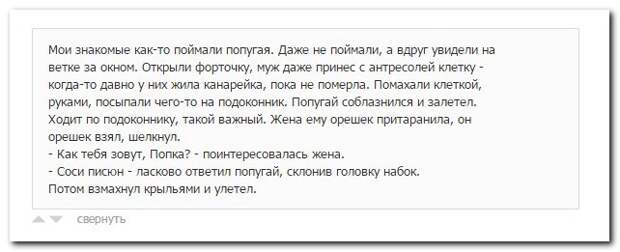 Смешные комментарии из социальных сетей