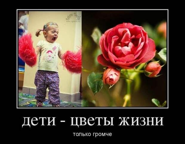 Пятничная подборка демотиваторов демотиватор, юмор
