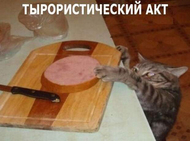 Позитив зверский с забавными надписями Позитив зверский с забавными надписями