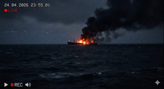 Идущее в Одессу западное судно загорелось прямо в море после удара русских БПЛА