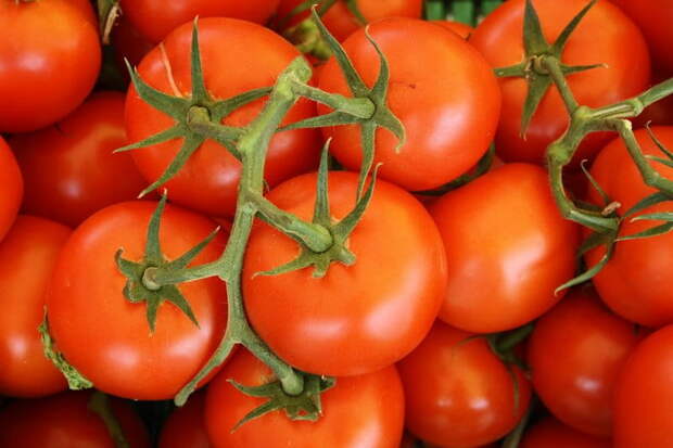 https://infoeda.com/wp-content/uploads/2019/03/Pomidor-yagoda-ovosch-frukt.jpg