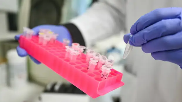 Кинокритик оценил возможную реакцию мирового кинематографа на пандемию коронавируса