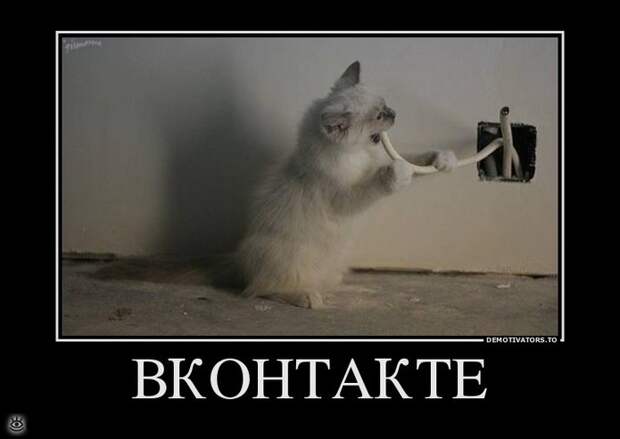 У каждого своя Олимпиада 11
