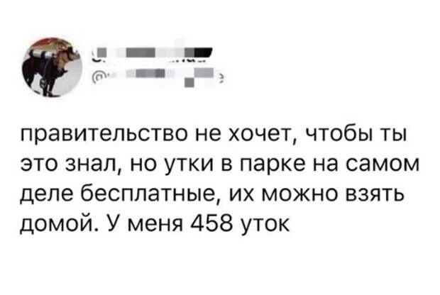 Сам не свой