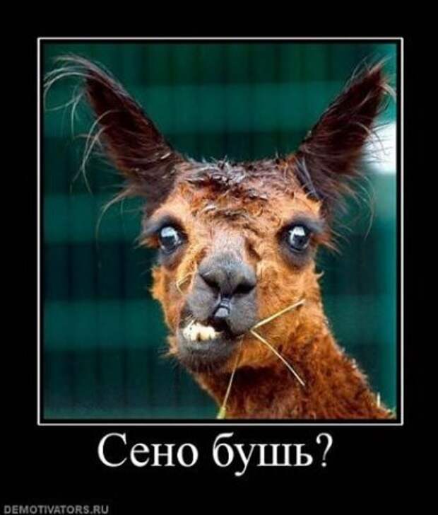 Демки, только прикольные.