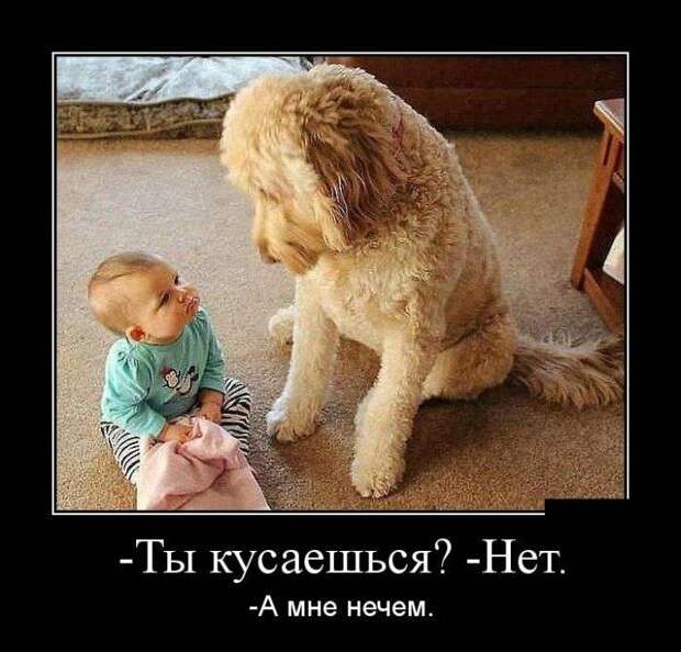 Классная демотивация Классная демотивация
