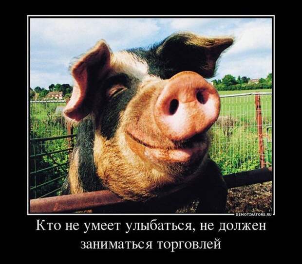 Демотиваторы про животных демотиваторы, животные, прикол, юмор