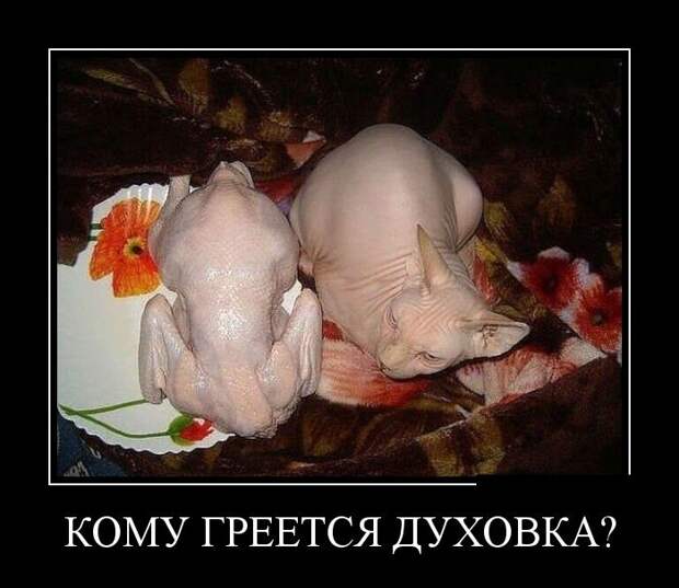 Демотиваторы  демотиваторы, прикол, смех, юмор