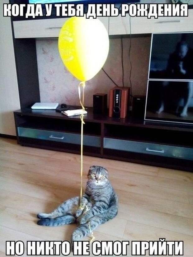 Прикольные картинки. Вечерний выпуск (54 фото)