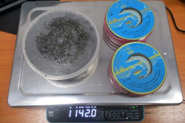 Шестаков: высокая стоимость черной икры связана со сложностью ее выращивания