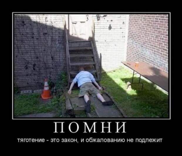 Подборка классных демотиваторов № 119