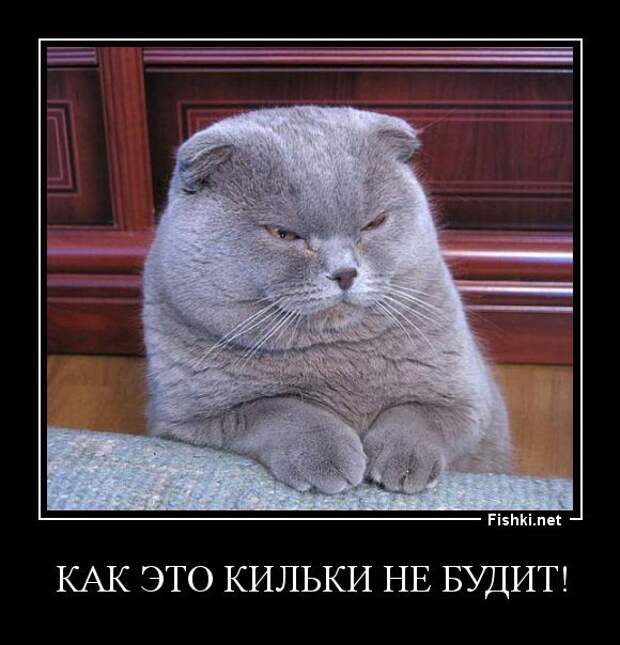 Демотиваторы  демотиваторы, прикол, смех, юмор