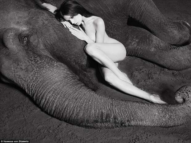 Обнаженная модель со слоном в серии черно-белых фотографий