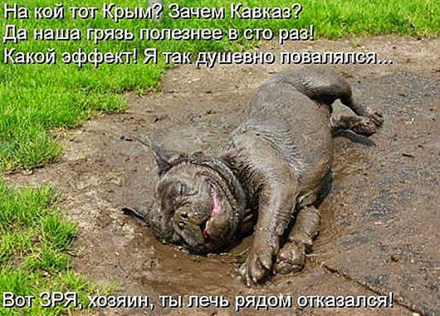 ae5f5813c4b6cc356ff4248bdcd_prev