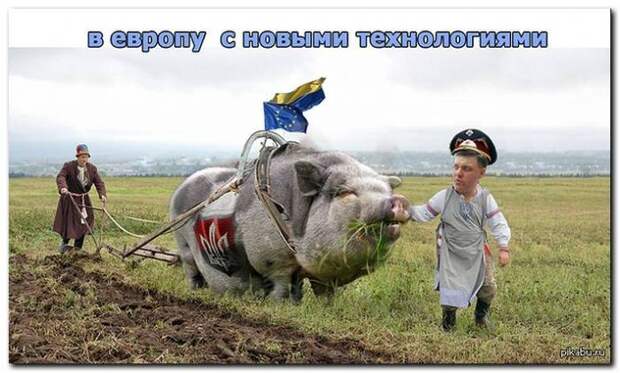 Картинки про Украину 8