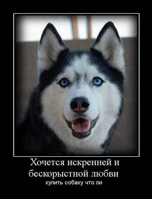 Хочется искренней и бескорыстной любви