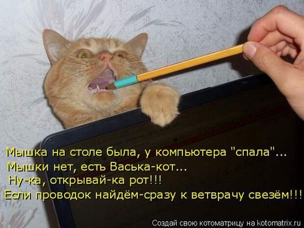 Мысли вслух :)