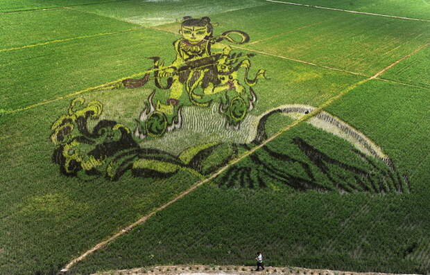 3D-рисунки на полях в Китае: развлечение фермеров