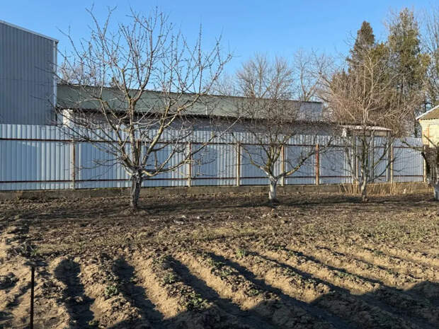 Снег в конце апреля засыпал грядки: узнайте, какой урожай вы потеряете в июле и почему виноваты «арктические мешки»