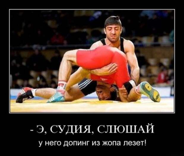 Демотиваторы приколы картинки, заряд отличного настроения!