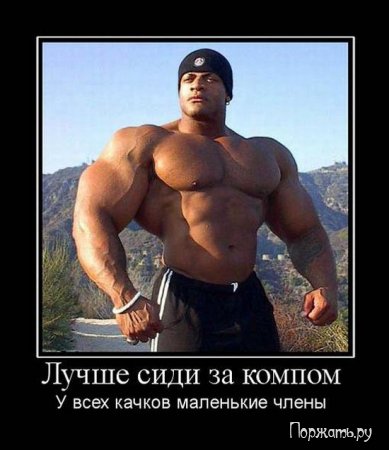 Демотив смешная подборка.
