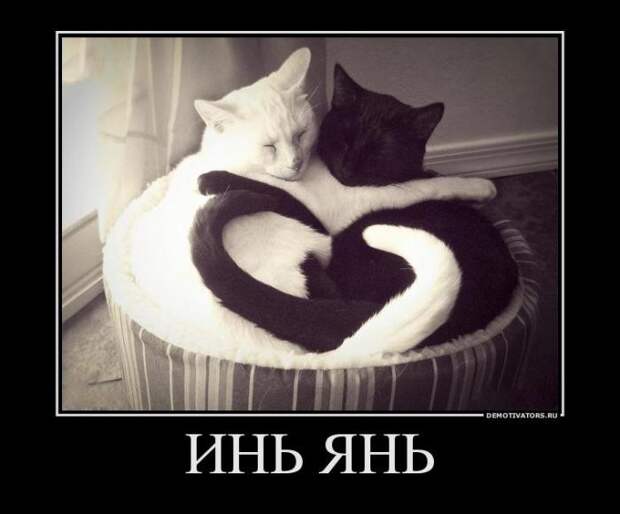 Демотиваторы демотиваторы, юмор