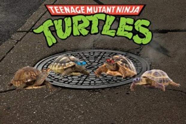Your Favorite 90’s Cartoons Made Live Action!