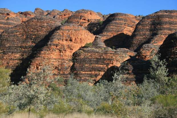 NewPix.ru - Хребет Бангл-Бангл (Bungle Bungle National Park)