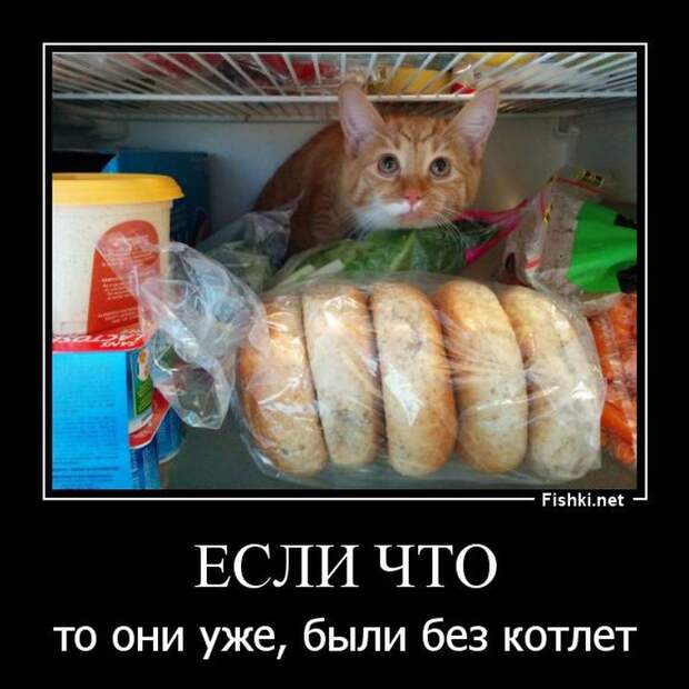 Демотиваторы демотиваторы, прикол, смех, юмор