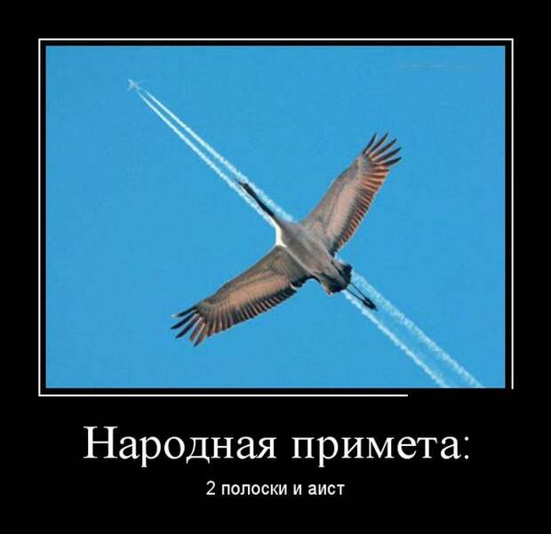 Демотиваторы (30 фото)