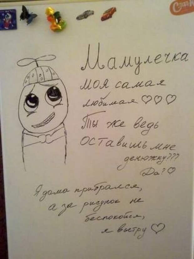 Круто, когда домашние с юмором Круто, когда домашние с юмором