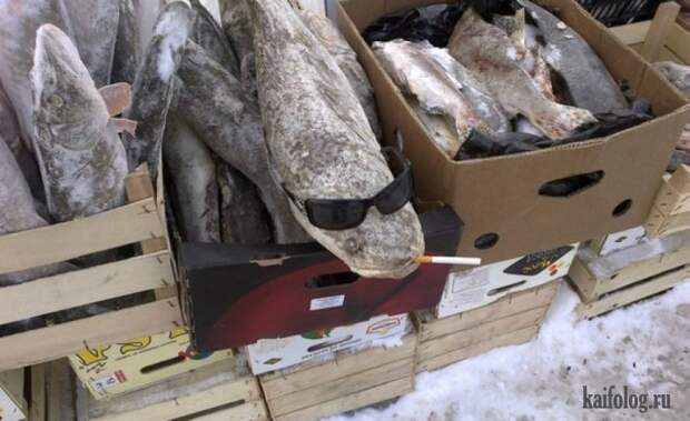 Инсталляция по-русски (45 фото)