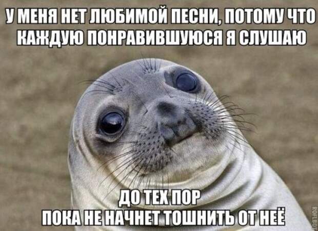 Прикольные фотомемы для хорошего настроения (31 шт)
