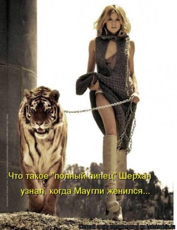 Котоматрица 26
