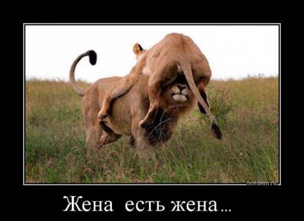Свежий сборник демотиваторов (15 шт)