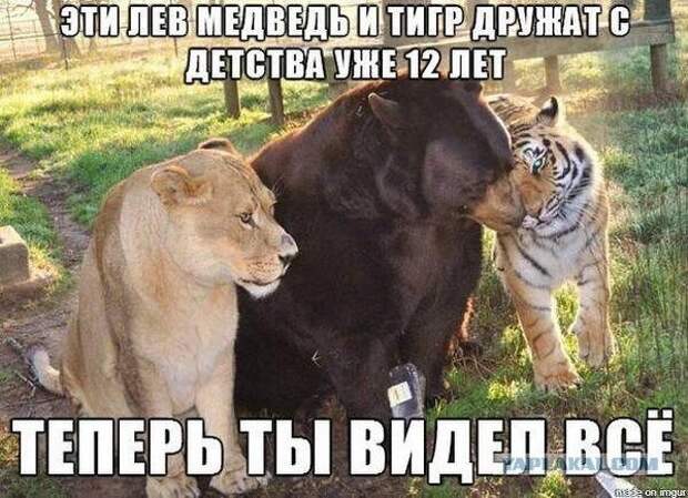 Теперь ты видел все