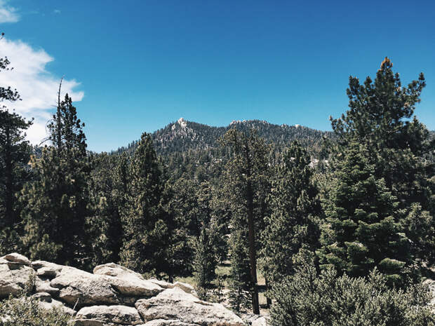 Palm-Springs-Aerial-Tramway-00-19.jpg
