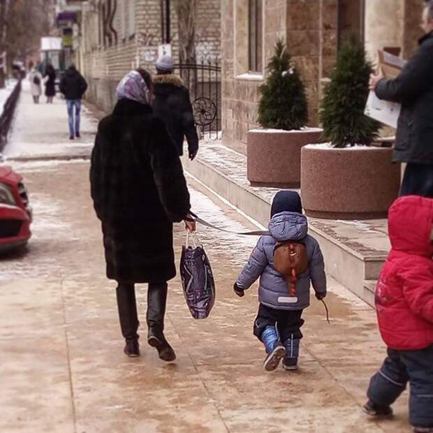 смешные и шокирующие фотографии 