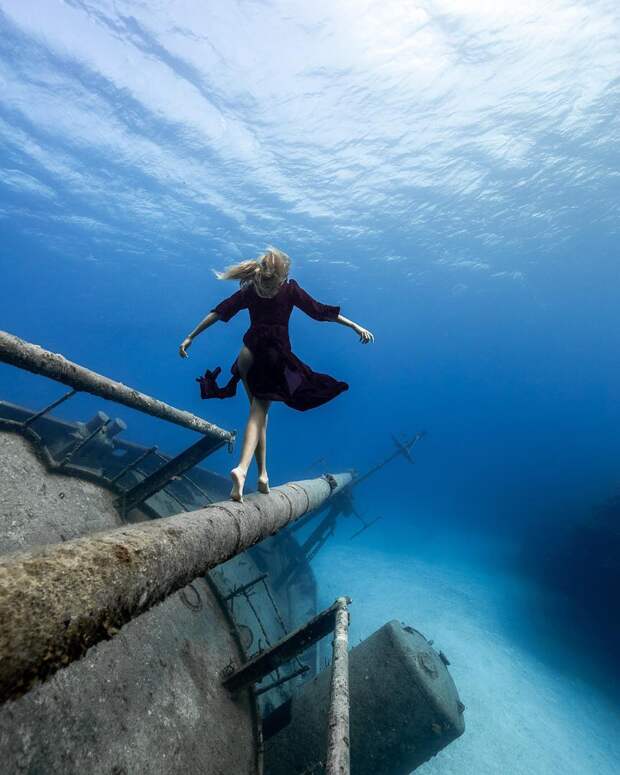 Андре Масгроув (André Musgrove) и его невероятные подводные снимки