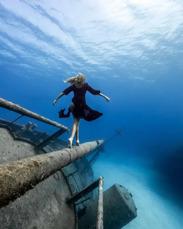 Андре Масгроув (André Musgrove) и его невероятные подводные снимки