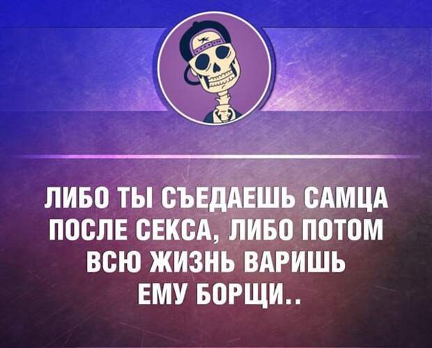 23 жизненные открытки для отличного настроения 23 жизненные открытки для отличного настроения открытки, юмор