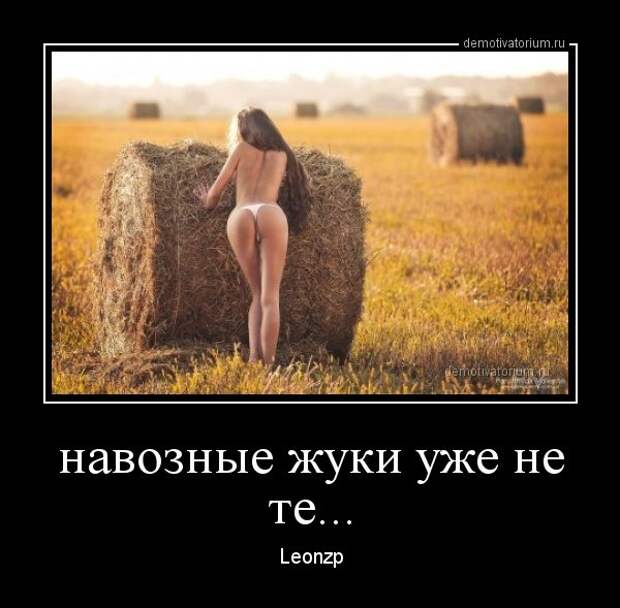 Демотиваторы 