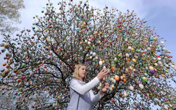 germany-eggs-645x403