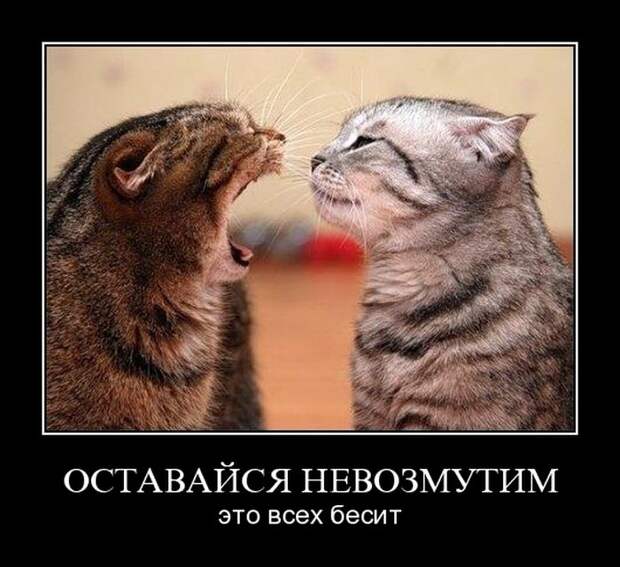 Демотиваторы (30 фото)