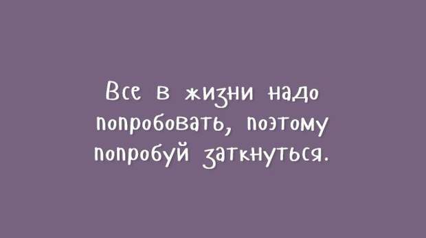 открытки с нестандартным юмором 