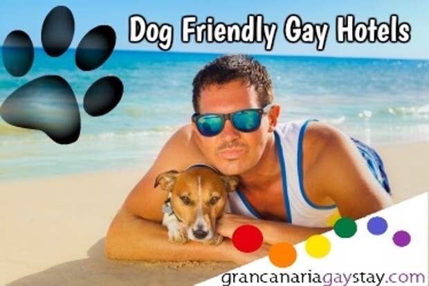 http://www.grancanariagaystay.com/