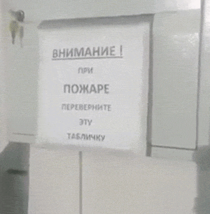 Эта прикольная анимация развлечёт вас на целый день!